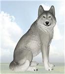 WD29767 Adelphus Wolf